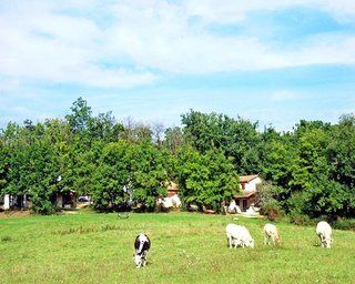 Domaine De Gavaudun Hotel Lacapelle-Biron Екстериор снимка